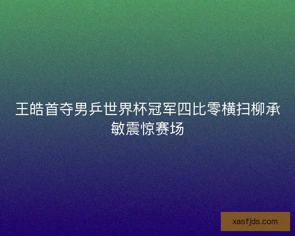 王皓首夺男乒世界杯冠军四比零横扫柳承敏震惊赛场
